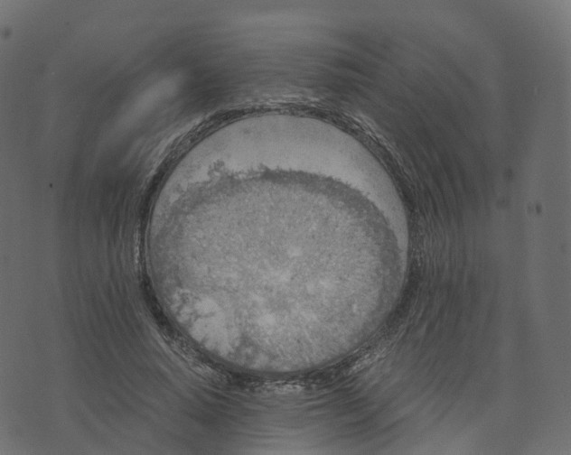 X0000073410640200608251526