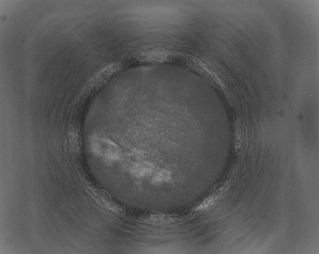 X0000073410641200608251526