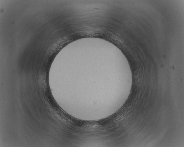 X0000073410642200608251526