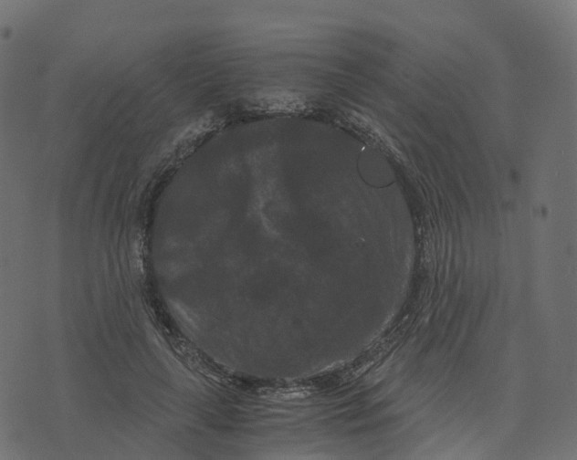 X0000073410643200608251526