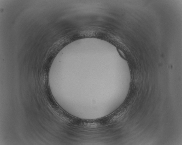 X0000073410645200608251526