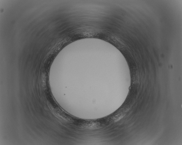 X0000073410646200608251526