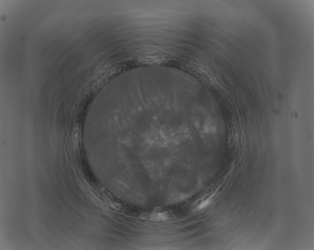 X0000073410647200608251526