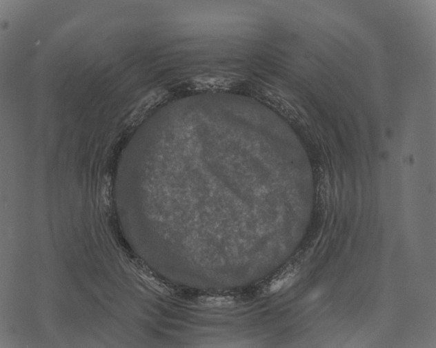 X0000073410649200608251526