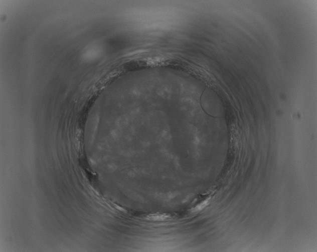 X0000073410650200608251526