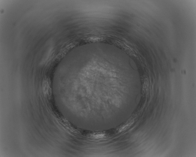 X0000073410651200608251526