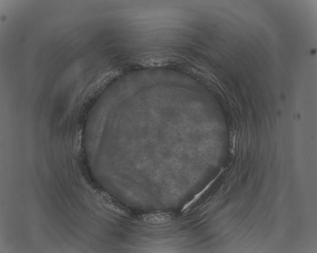 X0000073410652200608251526