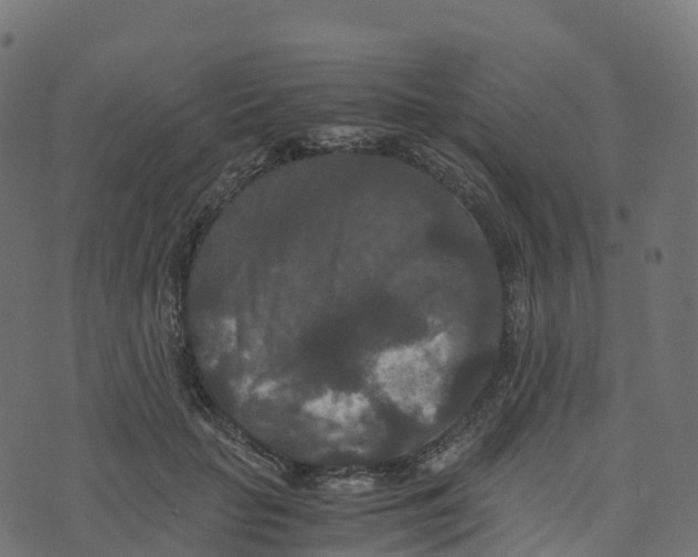 X0000073410653200608251526