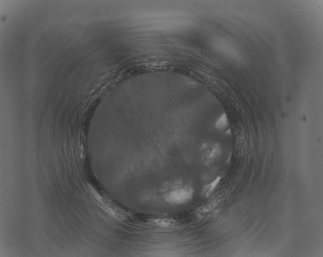 X0000073410654200608251526