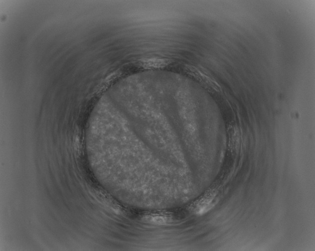 X0000073410655200608251526