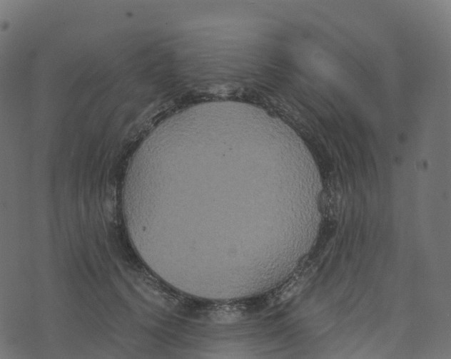 X0000073410656200608251526