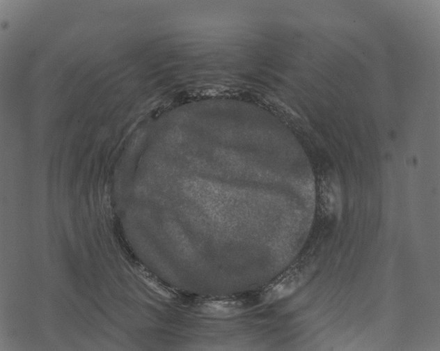 X0000073410657200608251526