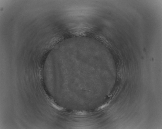 X0000073410658200608251526