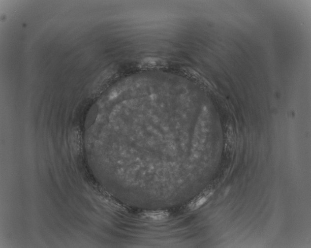 X0000073410659200608251526