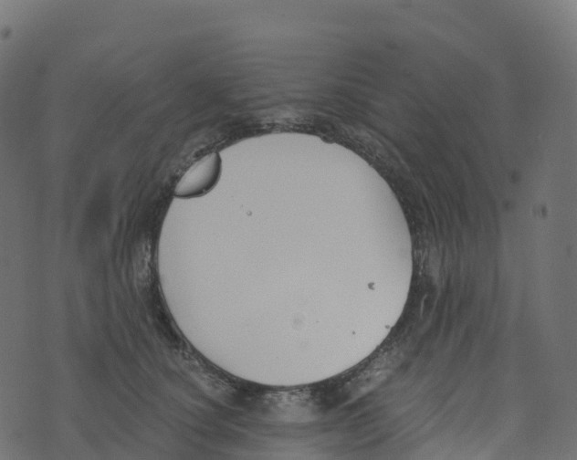 X0000073410660200608251526