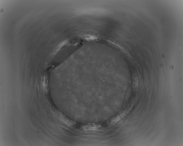 X0000073410661200608251526