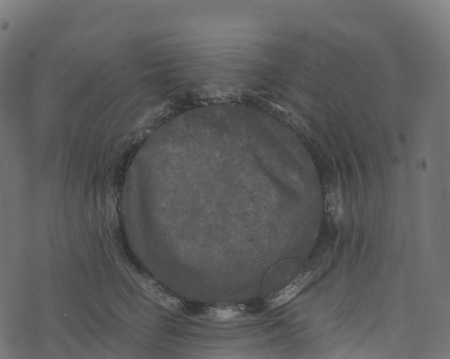 X0000073410662200608251526