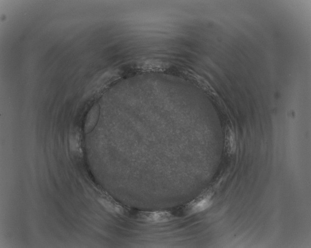 X0000073410663200608251526