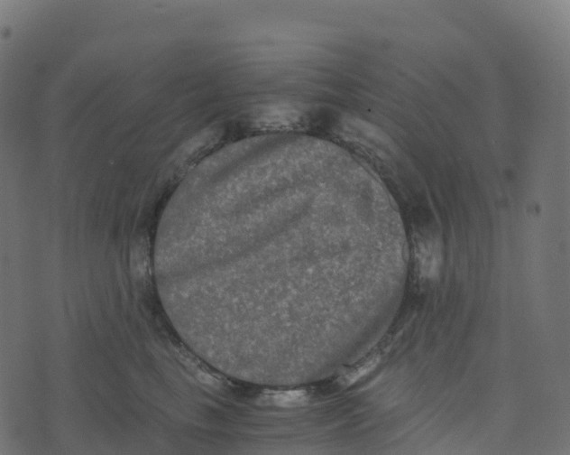 X0000073410665200608251526