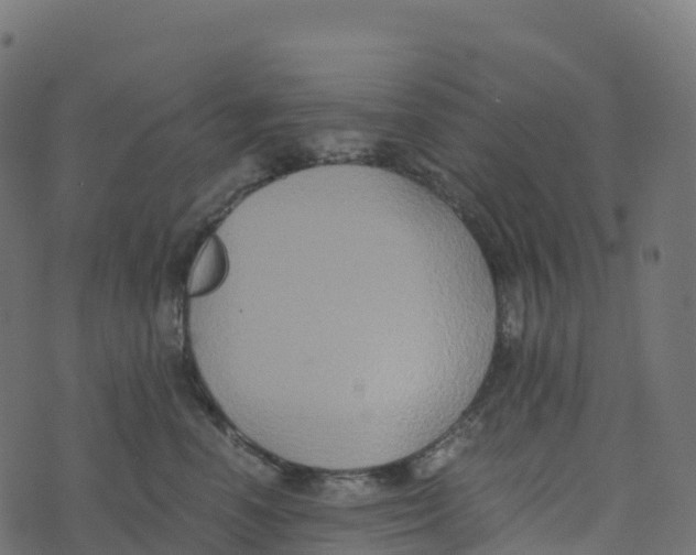 X0000073410666200608251526