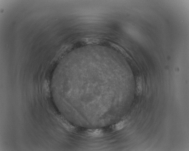 X0000073410667200608251526