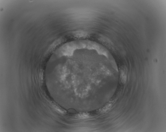 X0000073410668200608251526