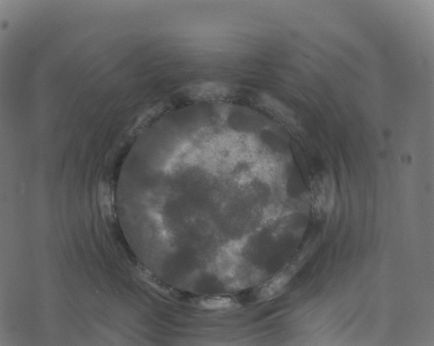 X0000073410669200608251526