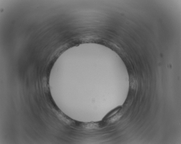 X0000073410670200608251526