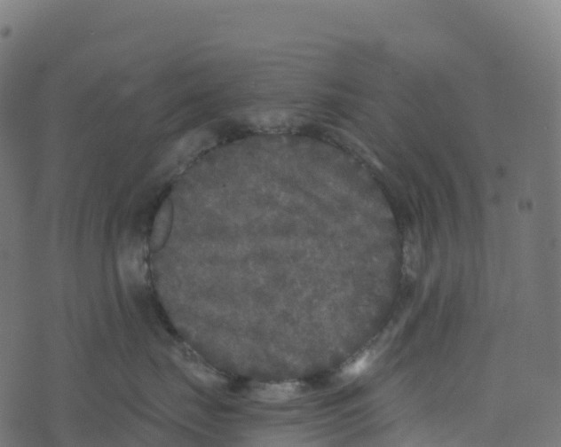 X0000073410671200608251526