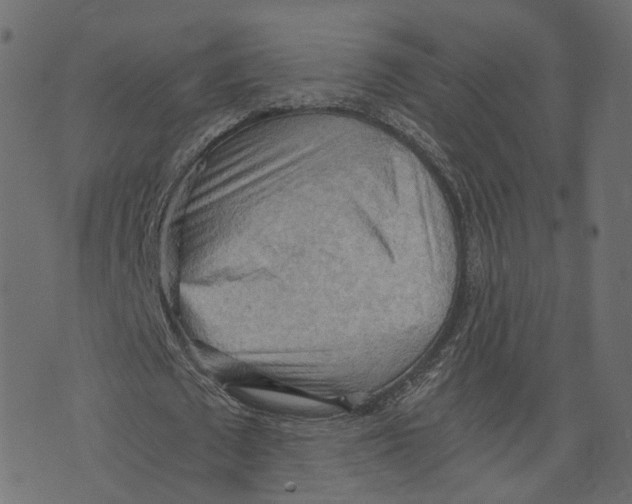 X0000073410673200608251525