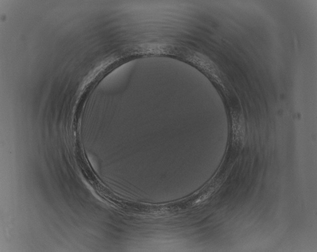 X0000073410674200608251525