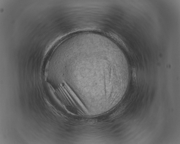 X0000073410676200608251525