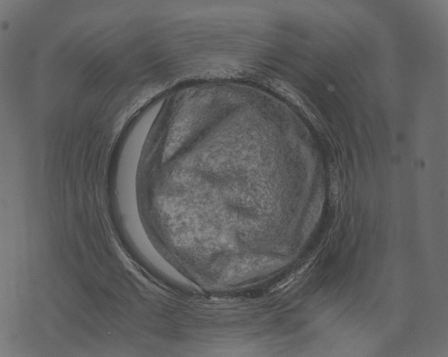 X0000073410677200608251525