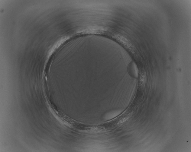 X0000073410678200608251525