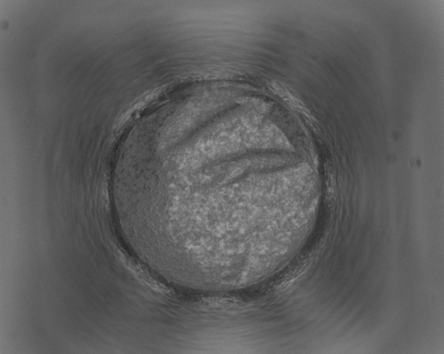 X0000073410681200608251525