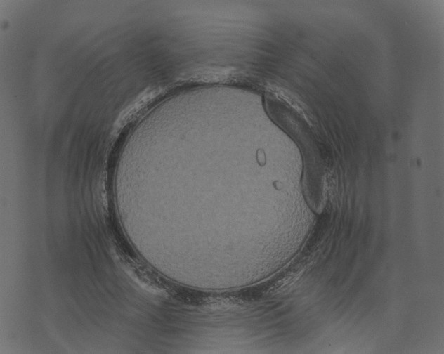 X0000073410682200608251525