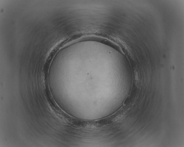 X0000073410684200608251525