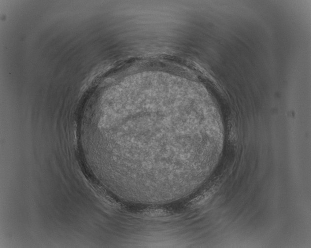 X0000073410685200608251525