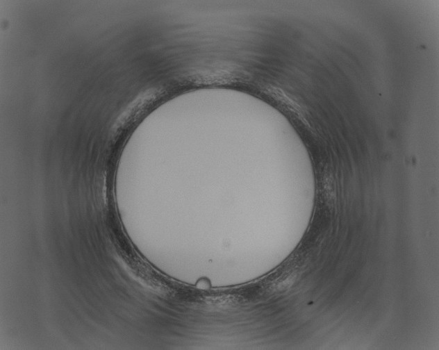 X0000073410686200608251525