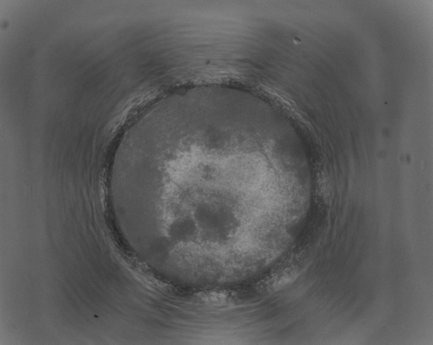 X0000073410687200608251525