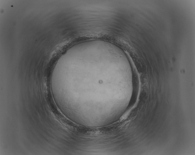 X0000073410688200608251525