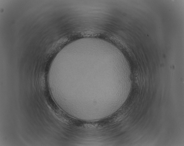 X0000073410690200608251525