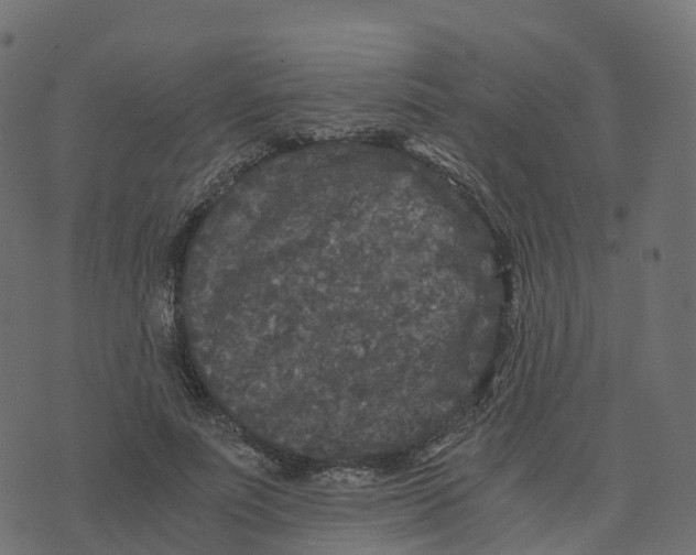 X0000073410691200608251525