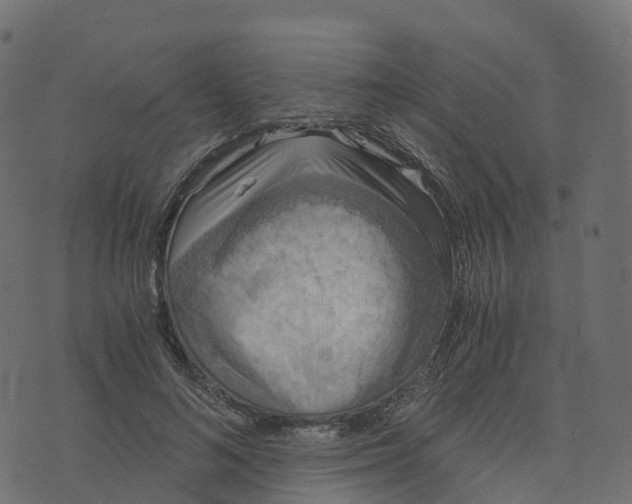 X0000073410692200608251525