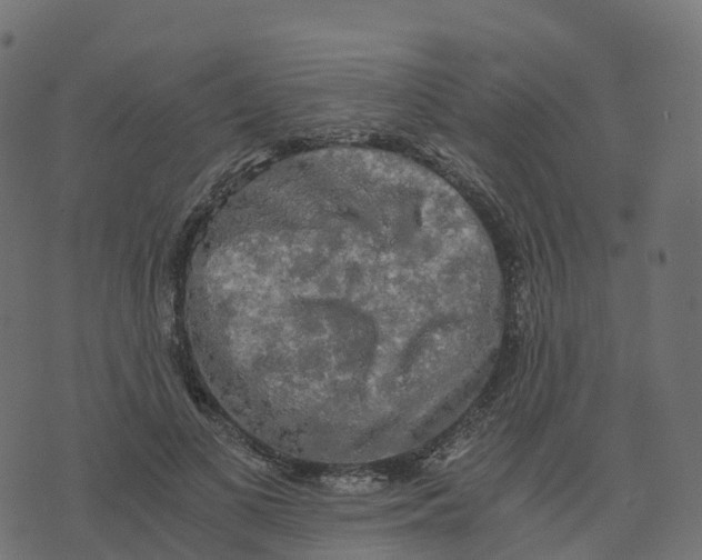 X0000073410693200608251525