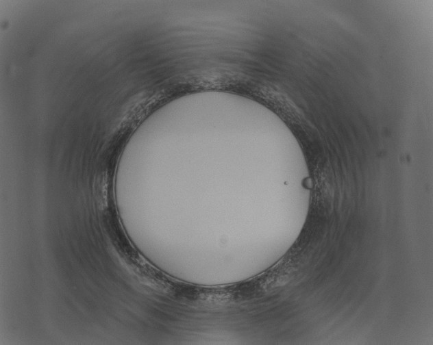 X0000073410694200608251525