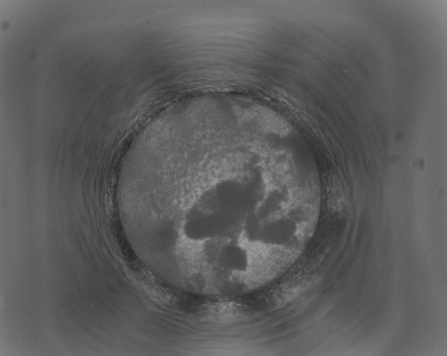 X0000073410695200608251525