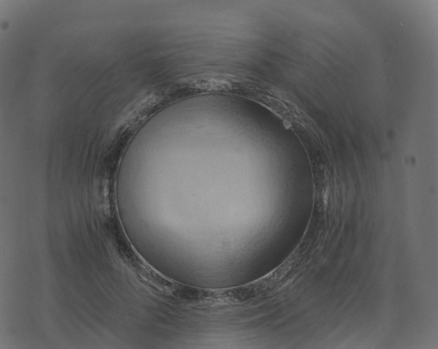 X0000073410696200608251525