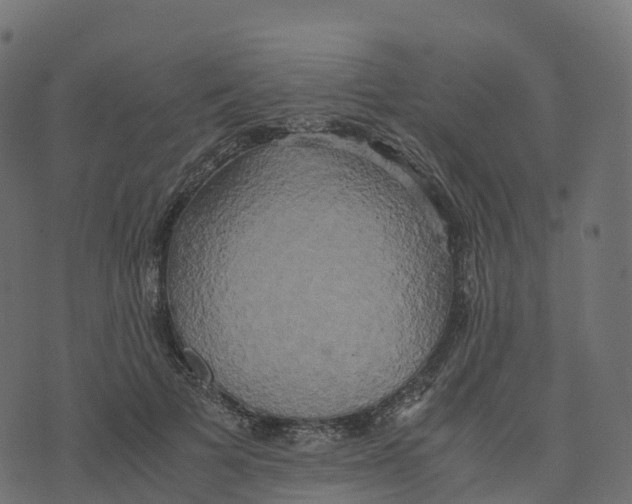 X0000073410697200608251525