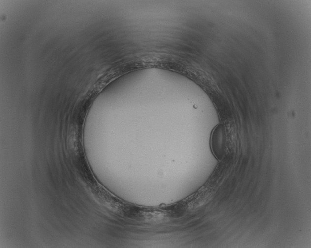 X0000073410698200608251525